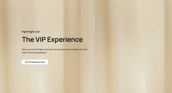 the vip experience